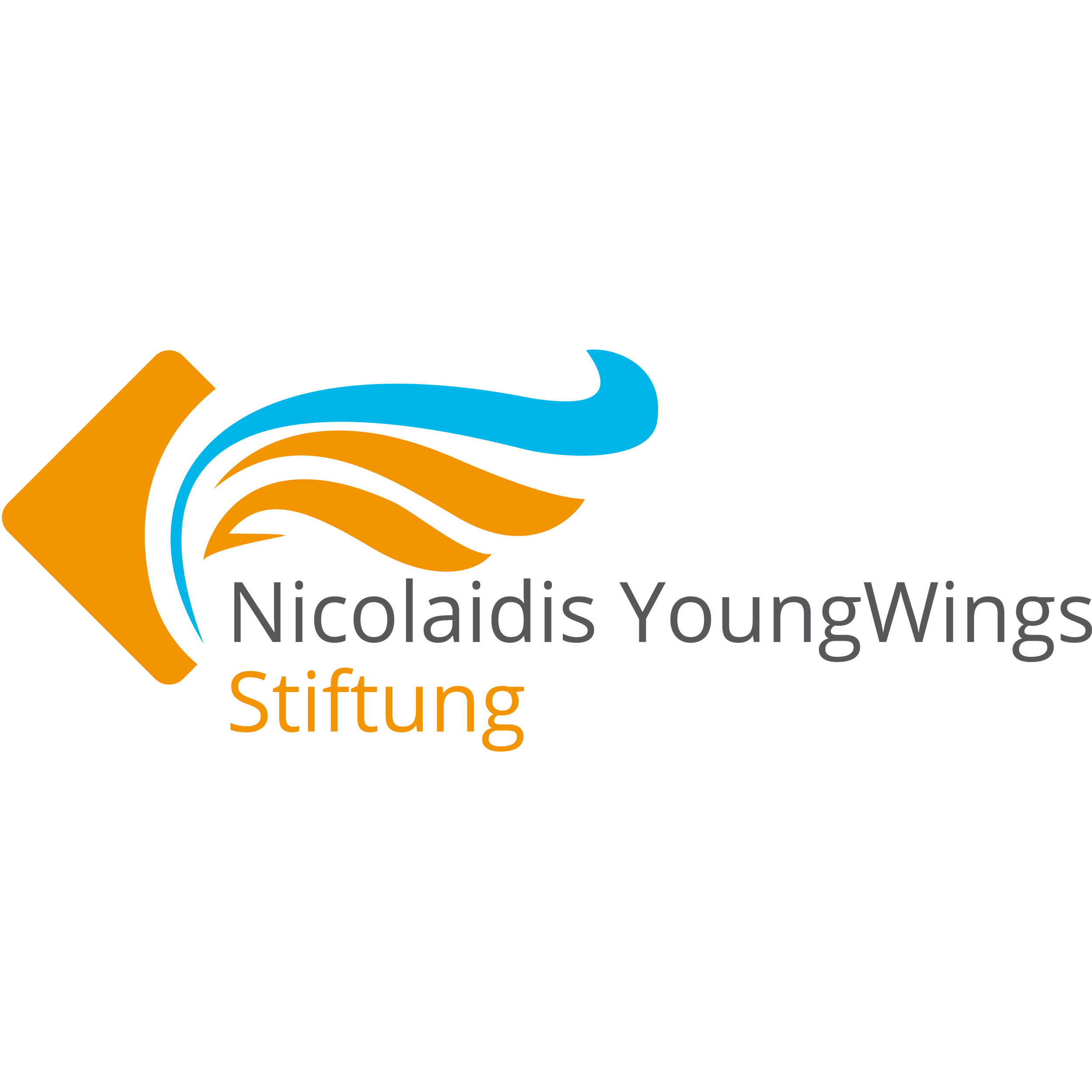 nicolaidis-youngwings
